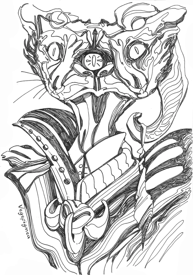 Gato
