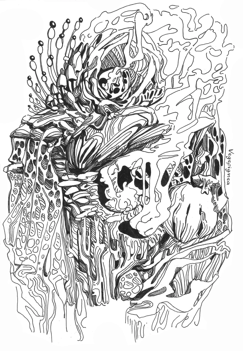 Hongo