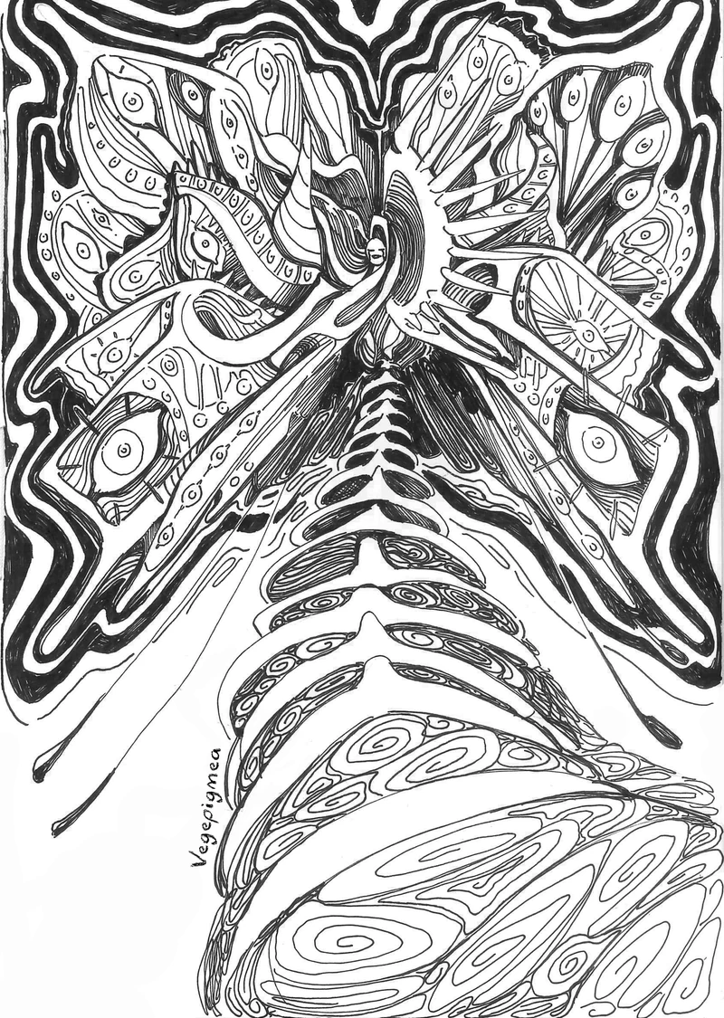 Mariposa